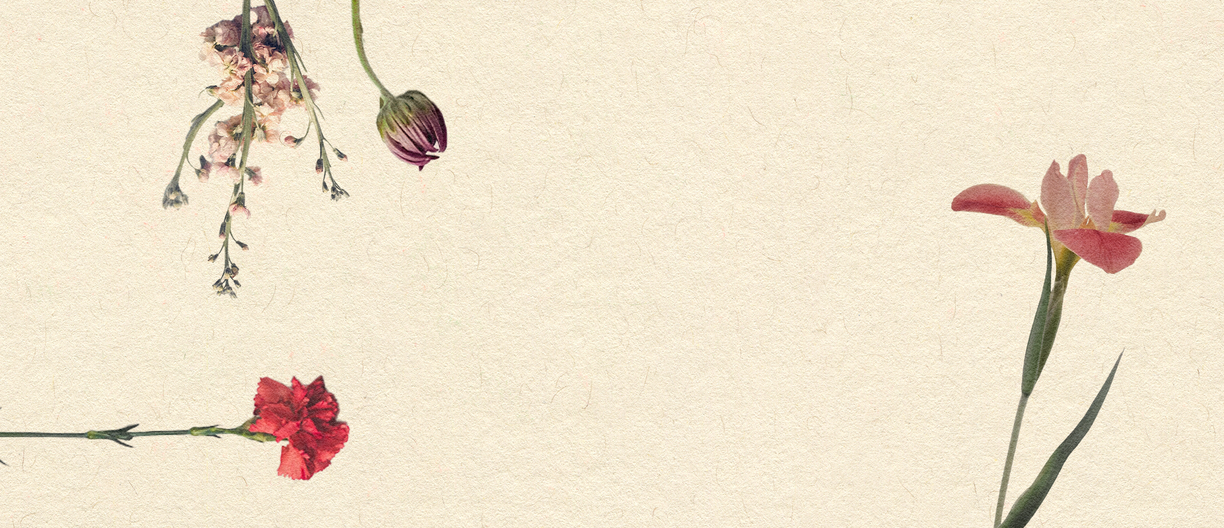 Load video: Video showing floral art exhibition