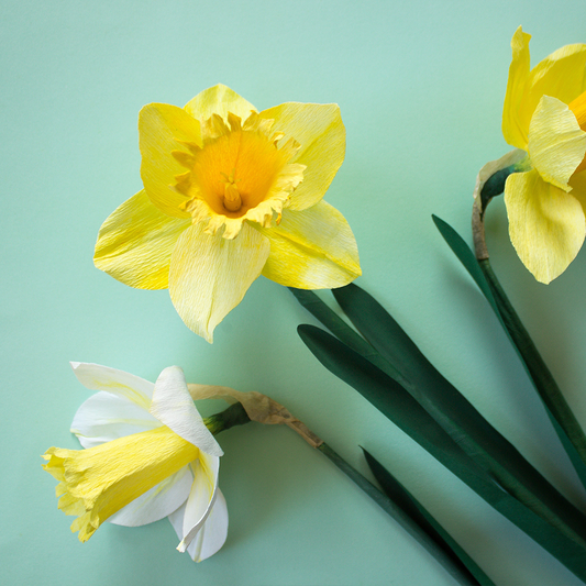 Paper Daffodils: a spring flower workshop with Olivia Joy Flowers