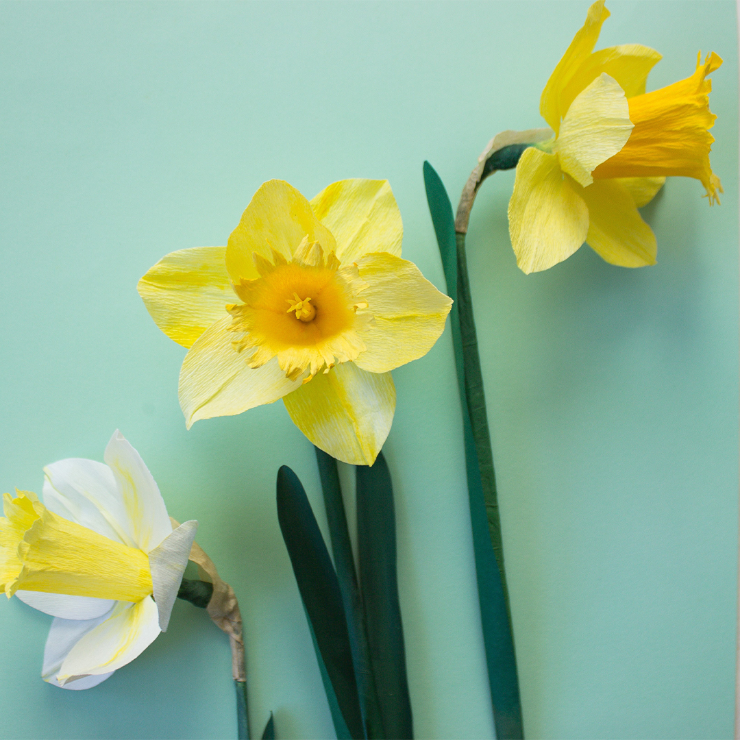 Paper Daffodils: a spring flower workshop with Olivia Joy Flowers